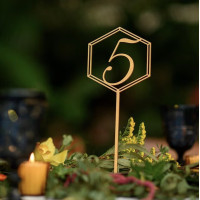 Hexagon table number