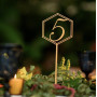 Hexagon table number